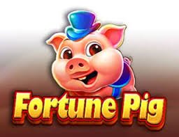sodo67